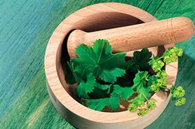 herbs for psoriasis