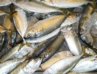 A diet that helps stop the development of a disease